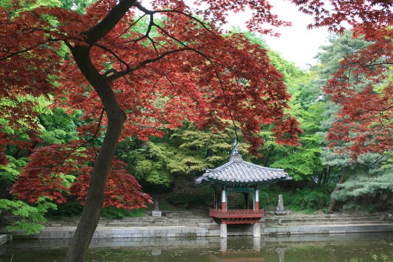 The Secret Garden Of Changdeokgung Backpackerlee