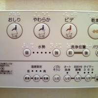 An Idiot's Guide to using a Japanese Toilet