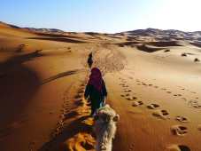 Camel Trekking in the Sahara